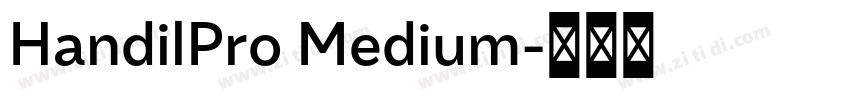HandilPro Medium字体转换